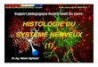 HISTOLOGIE DU SYSTأˆME NERVEUXcytogenetiquedesousse.y.c.f. 2009. 10. 22.آ  HISTOLOGIE DU SYSTأˆME NERVEUX
