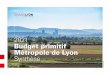 Synthèse du budget primitif 2021 de la Métropole de Lyon · 2021. 2. 5. · plusieurs sources de revenus. pour mener à bien ses politiques publiques . et son fonctionnement. Les