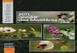 2011, année des Mellifèresenvironnement.wallonie.be/semaine-arbre/docs/brochure... · 2020. 12. 30. · 4 A méditer Nos chers butineurs L’abeille domestique est connue de tous