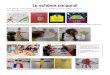 Le schéma corporel - ac-grenoble.fr · 2019. 5. 29. · construction « morphun »… - Nous fabriquons des escargots : peindre des bandes, les découper, les coller, ajouter les