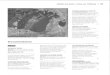 Documentaires - BnFcnlj.bnf.fr/.../revues_document_joint/PUBLICATION_5600.pdfParis : Bayard jeunesse, 2002.- 57 p . ill coul ; 27 x 16 cm. (Images Doc, n 167, novembre).-4,9 €. Double-pages
