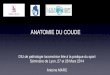 ANATOMIE DU COUDEorthopedie-lyon.fr/wp-content/uploads/2012/02/Anatomie... · 2019. 11. 4. · ANATOMIE DU COUDE . INTRODUCTION 3 ensembles à l’intérieur d’une même capsule