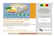 RAPPORT DE SYNTHESE - Initiative PPPinitiative-ppp-afrique.com/content/download/1029/8204...l’Aéroport international Blaise DIAGNE (AIBD) ; l’Agence de Développement Municipal