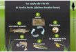 Le cycle de vie de la truite fario ( Salmotrutta fario · 2012. 3. 15. · Cette unité de mesure est propre à la reproduction des poissons. L’incubation dépend en effet de la