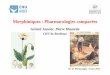 Morphiniques : Pharmacologies comparées...l'origine et l'usage de l'opium se situe dans les plaines de Mésopotamie 5000 ans, avant J-C. Sous Ramsès II, treize siècles avant J-C,