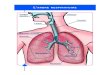 Pharynx nasales Trachée Larynx - Newwaynewway.be/medias/edition/6/file/blocs-asthme-interieur... · 2018. 4. 27. · Pharynx Larynx Trachée Bronche Bronches souches Poumons Bronchioles