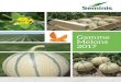 Gamme Melons 2017 - Amazon Simple Storage Service (S3) · 2017. 4. 7. · 3 essais internes sous chenille en France - 2012 & 2013 3 essais internes sous bâche en France - 2012 &