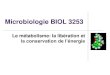 Microbiologie BIOL 3253 - Université de Moncton · Microbiologie BIOL 3253 Le métabolisme: la libération et la conservation de l’énergie. Vue d’ensemble du métabolisme Métabolisme