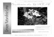 GNLA – Bulletin n°16– juillet et août 2006 Bulletin du GNLA...Dandelot S. (2004). Les Ludwigia spp . invasives du Sud de la France : historique, biosystématique, biologie et