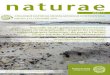 Nouvelle étude paléoenvironnementale de la · 2020. 9. 23. · Nouvelle étude paléoenvironnementale de la « Forêt de Quintefeuille » d’après les cortèges malacologiques