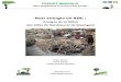 Bois énergie en RDC - Ciradprojets.cirad.fr/content/download/11048/66023/file/Bois...Bois énergie en RDC : Analyse de la filière des villes de Kinshasa et de Kisangani Jolien Schure