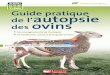 Guide pratique de lâ€™autopsie des ovins ... V Avant-propos Le guide pratique de lâ€™autopsie des ovins
