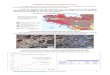 Document 1. Carte géologique du massif armoricain. · 2020. 12. 16. · 21_Tspe_T2_exercice.docx 1 La Bretagne, un livre ouvert sur l’histoire de la Terre. La Bretagne est située