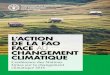 L’action de la FAO face au changement climatiquePhoto d’un projet de la FAO pour augmenter la production de subsistance et l’approvisionnement alimentaire du marché afin de