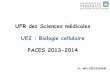 UFR des Sciences médicales UE2 : Biologie cellulaire PACES ...paris-ouest.net/posien/documents/drive/28876_3._Le_noyau.pdf · PACES 2013-2014 Pr. MN DIEUDONNE. BIOLOGIE CELLULAIRE