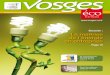La maîtrise de l’énergie en entreprise - CCI Vosges Vosges Économiques : le magazine de la CCI des Vosges 34 commerçants récompensés depuis 10 ans Page 4 N° 30 • Mai 2012