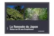La Renouée du Japon - WordPress.com · 2018. 2. 3. · long des cours d’eau, à l’occasion des crues. La Renouée du Japon l Propagation ... Itinéraire technique de régulation