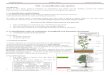 TD2 : La classification des plantessd9075fac2be829bf.jimcontent.com/download/version...Biogéographie-----Brahim Jaziri-----FSHST, 2013-2014 1 également de TD2 : La classification