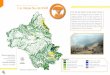 Le risque feu de forêt - Aveyron · 2018. 1. 17. · sécheresse et les épisodes de vents forts sont favorables à l’éclosion des incendies. Ainsi, le vent accélère le dessèchement