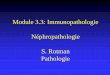 Module 3.3: Immunopathologie Néphropathologie S. Rotman … · 2019. 10. 22. · Module 3.3: Immunopathologie Néphropathologie S. Rotman Pathologie. Objectifs nIllustrations pratiques