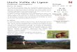 Haute Vallée du Lignon N - Apidae Tourismestatic.apidae-tourisme.com/filestore/objets-touristiques/... · 2016. 7. 5. · le Lignon a été peu modifié par l’activité humaine