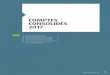 COMPTES CONSOLIDÉS 2017bibliotheque.pssfp.net/livres/COMPTES_CONSOLIDES_2017.pdf4. Tableau des flux de trésorerie consolidés 5 5. Variation des capitaux propres consolidés 6 6