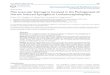 International Journal of Medical Sciences - Research Paper … · 2013. 1. 31. · polyclonal antibody (ZA-0186, Zhongshan Golden Bridge), mouse anti-human CD34 monoclonal anti-body