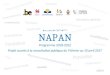NAPAN - Phytoweb · Web viewUn certificat de connaissance pour conseiller, vendre, utiliser ou manipuler des PPP à usage professionnel, stipulé à l’article 5 de la directive
