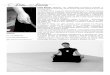 Paola Bianchi - Femina Faber · 2014. 5. 15. · polifonia medievale, rinascimentale e contemporanea Dal 2006 in organico Ensemble Alia Monodia (CH) dir. Giovanni Conti – Canto
