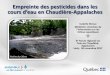 Empreinte des pesticides dans les cours d’eau en Chaudière-Appalachesobv-ca.org/wp-content/uploads/2017/12/Bloc-1-I.Giroux.pdf · 2017. 12. 7. · • Les cours d’eaude Chaudière-Appalaches