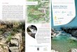Sentier d’Auriolscdt48.media.tourinsoft.eu/upload/La-Fiche-randonnee-Le... · 2018. 3. 5. · la crête d’où l’on peut voir la vallée de Sainte Croix, et au fond la Corniche