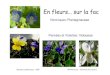 En fleurs… sur la fac - Serveur UNT-ORIunt-ori2.crihan.fr/unspf/2009_Paris11_Simon_EnFleursFac2.pdf · 2013. 4. 8. · – fruitsde la passion = grenadille, maracuja, taxo… •