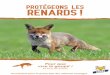 RENARDS - ASPAS · 2019. 7. 25. · Le renard peut être chassé du 1er juin au 31 mars. Mais en tant qu’espèce « susceptible d’occasionner des dégâts », il peut être tué