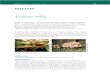 D0478 09 COPERTINA - Food and Agriculture Organization · 2021. 2. 8. · PART II Profiles of selected forest pests DISEASES 127 They can be stalked or not stalked, club-shaped, with