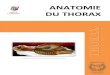 ANATOMIE DU THORAX · 2017. 1. 4. · 2. Les vertèbres thoraciques L’anatomie des vetèb es tho aci ues est étudiée dans le chapitre « Rachis » de ce polycopié. 3. Le sternum