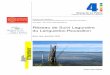 Réseau de Suivi Lagunaire du Languedoc-Roussillonrsl.cepralmar.org/doc/RSL-04-4.pdf · 2018. 10. 30. · 2. Hydrologie et météorologie générales 3. Diagnostic de la colonne d’eau