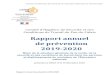 Rapport annuel de prévention 2019-2020 - Educationcache.media.education.gouv.fr/file/CHSCT,_DUERP... · Le rapport annuel a été établi sur la base du Guide juridique d’application