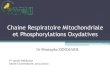 Faculté de Médecine d'Oran - Chaine Respiratoire Mitochondriale et Phosphorylations ...facmed-univ-oran.dz/ressources/fichiers_produits/fichier... · 2020. 4. 19. · Vue d’ensemble