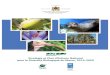 Stratégie et Plan d’Actions National pour la Diversité Biologique du Maroc… · menacées (le phoque moine, l’ibis chauve, le corail rouge, le mérou de la Méditerranée,