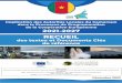 Cameroun - Compendium 2020 - CGLU Afrique/Hub des Savoirs · 2021. 2. 12. · dans le cadre de l’accélération du processus de décentralisation en cours dans la plupart des Etats