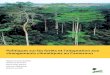 Politiques sur les forêts et l’adaptation aux changements … · 2016. 2. 26. · 2 Politiques sur les forêts et l’adaptation aux changements climatiques au Cameroun principalement