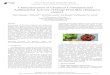 Characterization of Chemical Constituent and Antibacterial · PDF file Characterization of Chemical Constituent and Antibacterial Activity of Honje Fruit Skin (Etlingera elatior) Dede