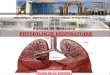 PHYSIOLOGIE RESPIRATOIRE - univ-setif.dz LA MECANIQUE... · 2020. 12. 5. · PHYSIOLOGIE RESPIRATOIRE Réalisé par Dr Bensouag. ... Elasticité du système respiratoire (et/ou de