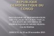 PROGRAMME DE MODERNISATION DES VILLAGES DE LA RDC … · 2019. 7. 10. · Programme d’électrification de 1.000 villages sur les 76.000 que compte le pays -Structure exécutante: