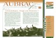 UPRA Aubrac - Mise en page 1 · 2012. 7. 28. · •LaBorie •Poidsnaissance •SIA •GIE •Pedigrees P.1 AOÛT 2009 ... testés sur descendance (démarche classique) et des «taureauxgénomiques»