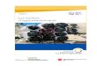 Chapitre 4 - IFDD · 2012. 6. 8. · Chapitre 4. Les services d’approvisionnement Crédits photo : Jacques Prescott Charbon de bois au Yémen Les besoins de bois de feu expliquent