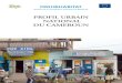 PROFIL URBAIN NATIONAL DU CAMEROUN - UN-Habitat · 2020. 11. 19. · vera l’environnement en même temps qu’elle contribuerait au développement économique de la région. ONU-HABITAT