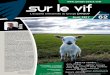 Sur Le Vif - Groupe peace · 2017. 5. 8. · L’actualité trimestrielle du Groupe Sur Le Vif Avril 2017 62 Edito numéro Lionel LAURENT Dirigeant Groupe Comité de rédaction :