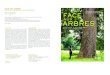 FACE AUX ARBRES - Tela Botanica