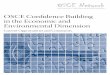 Osce confidence Building in the economic and environmental 